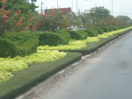 Highway Divider - Vung Tau