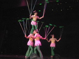 Ai Fu International Acrobats - Shanghai