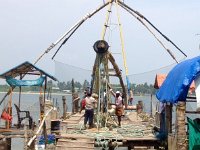 cochinChineseFishnet Cochin - Chinese Fishnet