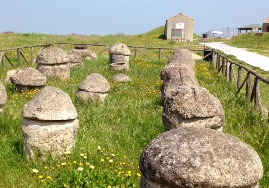 Cremation Urns - Cemetary, Tarquinia